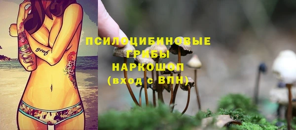 синтетический гашиш Алексин