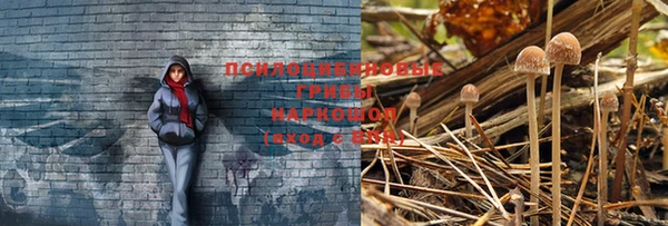 первитин Покачи